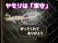 風水で運気up【最初にやるべきは玄関風水】物をどかしてスッキリさせます